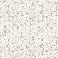 dsStella-DCJ3459-Cream