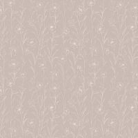 dsStella-DCJ3459-Tawny