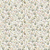 dsStella-DCJ3460-Cream