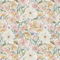 dsStella-DCJ3461-Multi