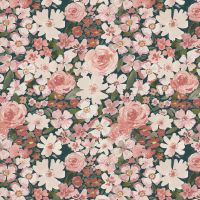 dsStella-DCJ3464-Multi