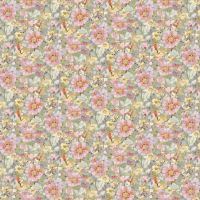 dsStella-DCJ3465-Multi