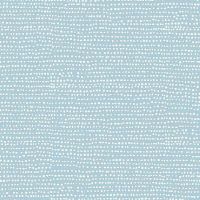 dsStella-1150-Starlight