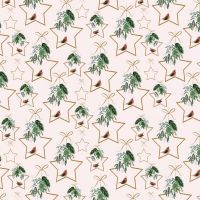 dsStella-DFN3512-Blush