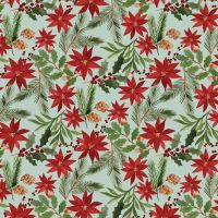 dsStella-DFN3515-Minty