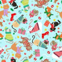 dsStella-DEI3564-Aqua