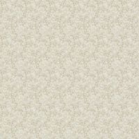 mfR451996D-Cream