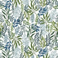 shnqcwbdreamweaversnow