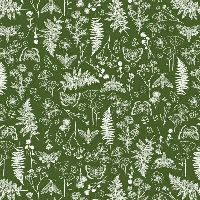 shnqcwbfaegrovecactus