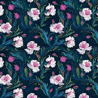 shnqcwbnightshadepurple