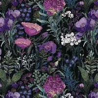 shnqcwbsecretgardnpurple