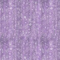 mmDDC12850-Wisteria