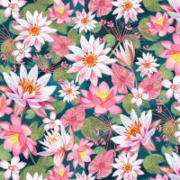 mmDDC12971-Celestial