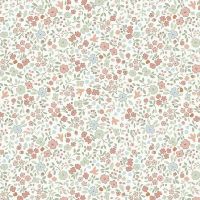 dsXSTELLA-D3613-WHISPER