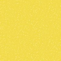 dsStella-D2857-Mimosa