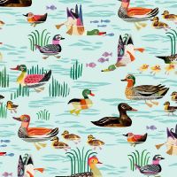 dsStella-DBOS3655-Aqua