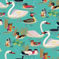 dsStella-DBOS3657-Cyan