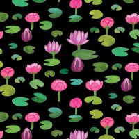 dsStella-DBOS3659-Coal