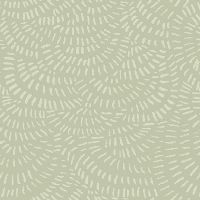 dsStella-DRR2293-Fern