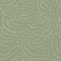 dsStella-DRR2293-Sage