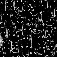 dsStella-DLW2659-Jet