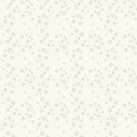 dsSTELLA-DPJ3675-JUPITER