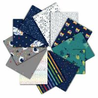 dsCPSTELLA-FQ-MEOWTER-SPACE