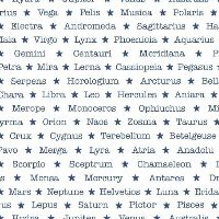 dsSTELLA-DPJ3681-NAVY