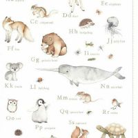 dsPSTELLA-DNS3661-WHITE