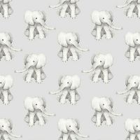 dsSTELLA-DNS3662-ASH