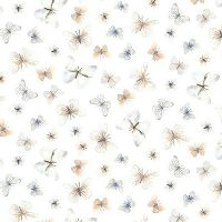 dsSTELLA-DNS3663-WHITE