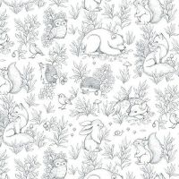 dsSTELLA-DNS3666-IRON