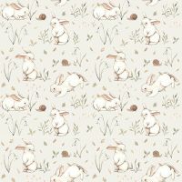 dsSTELLA-DNS3669-FOAM