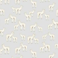 dsSTELLA-DNS3671-ASH