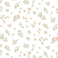 dsSTELLA-DNS3672-WHITE