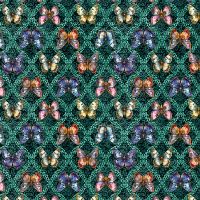 mmDCX13144-Blueberry