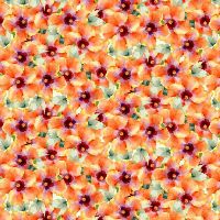 mmDCX13323-Persimmon